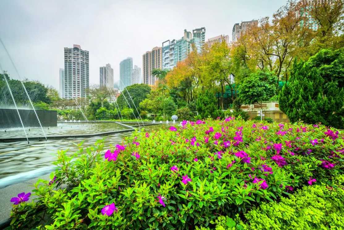 พาลูกเที่ยวฮ่องกง