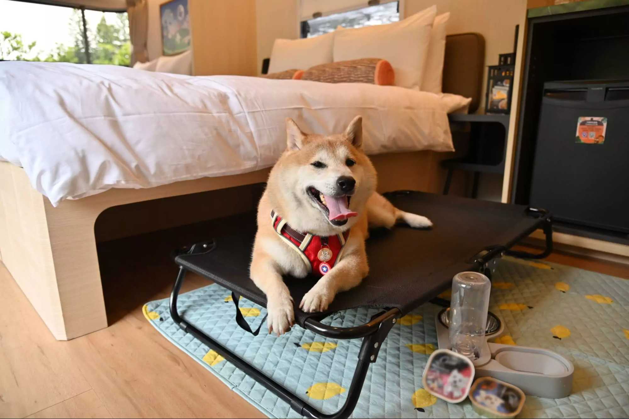 過年住宿|春節住宿訂房推薦 過年住宿推薦|桃園天成逸旅-朋趣豪華露營