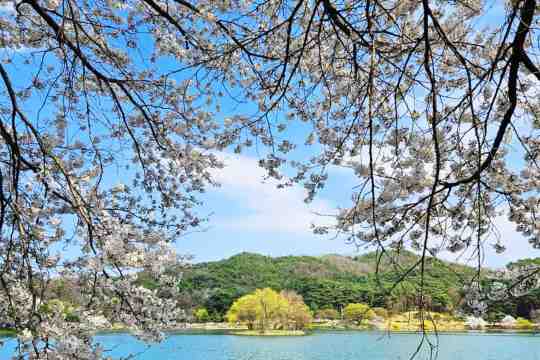 4월 여행지, 제천