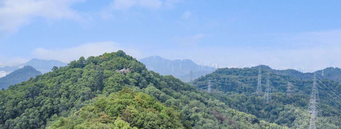 鳳凰山(寶安第一山)