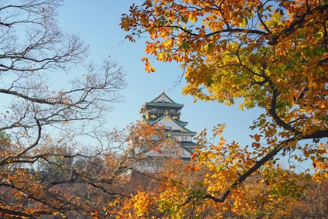 오사카 단풍 여행