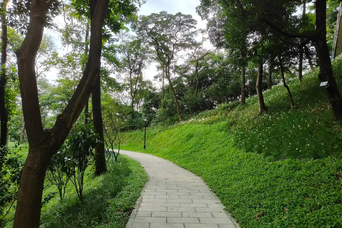 Baiyun Mountain Cable