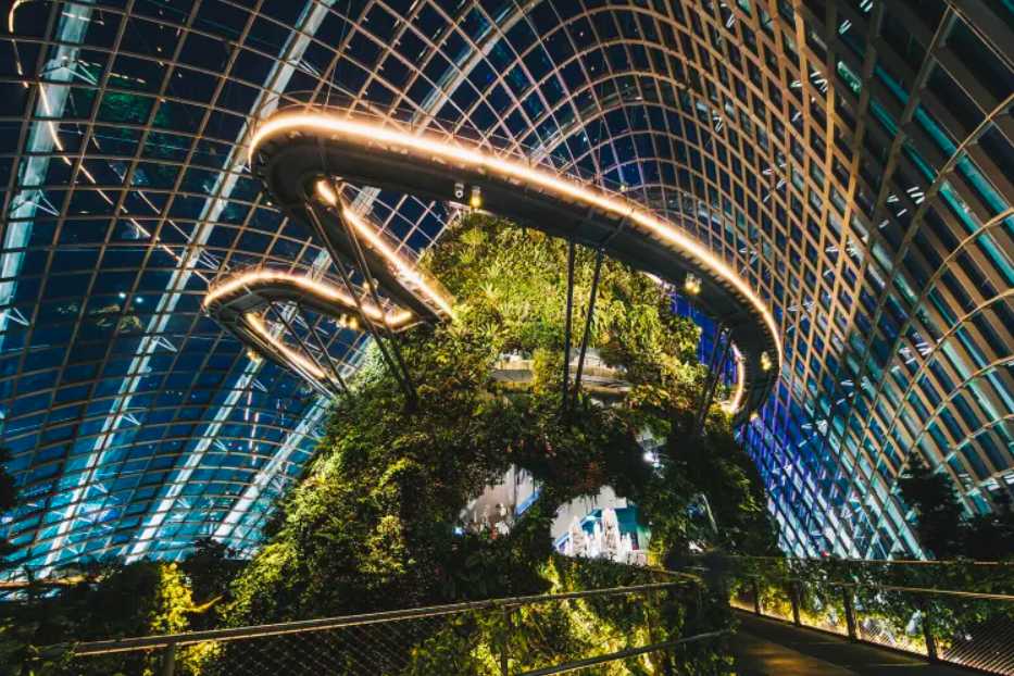 สิงคโปร์