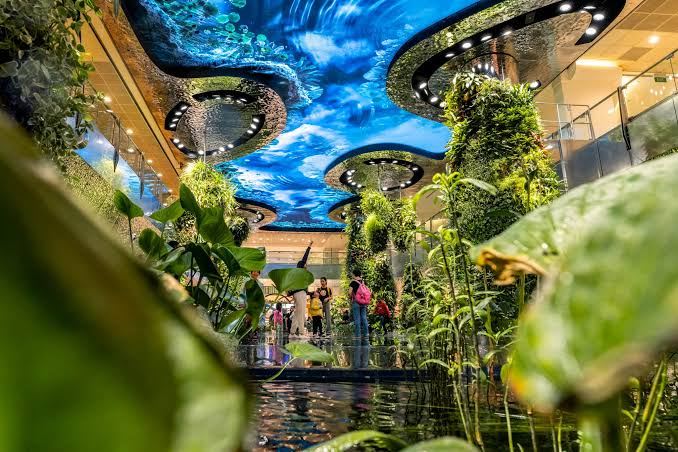 Visitors exploring the immersive indoor gardens beneath a digital ocean ceiling at Changi Airport