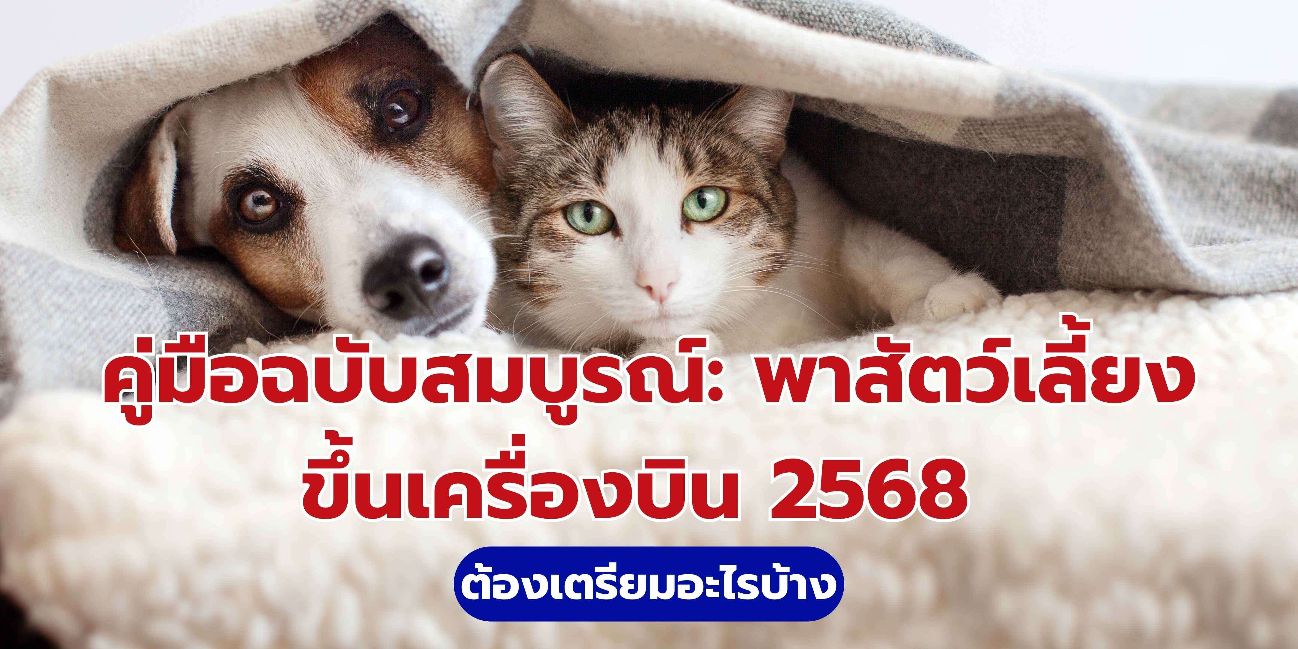 คู่มือฉบับสมบูรณ์: พาสัตว์เลี้ยงขึ้นเครื่องบิน 2568 ต้องเตรียมอะไรบ้าง