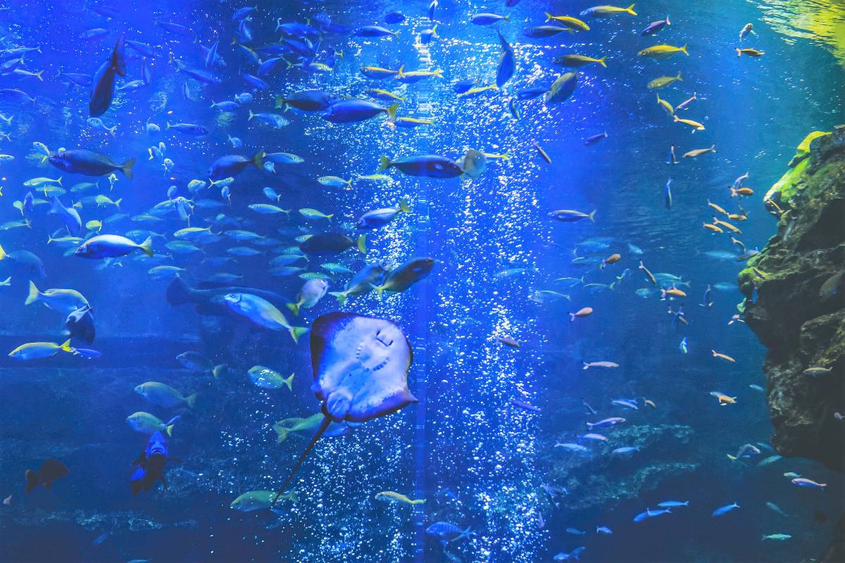 교토 지하철 여행 코스 