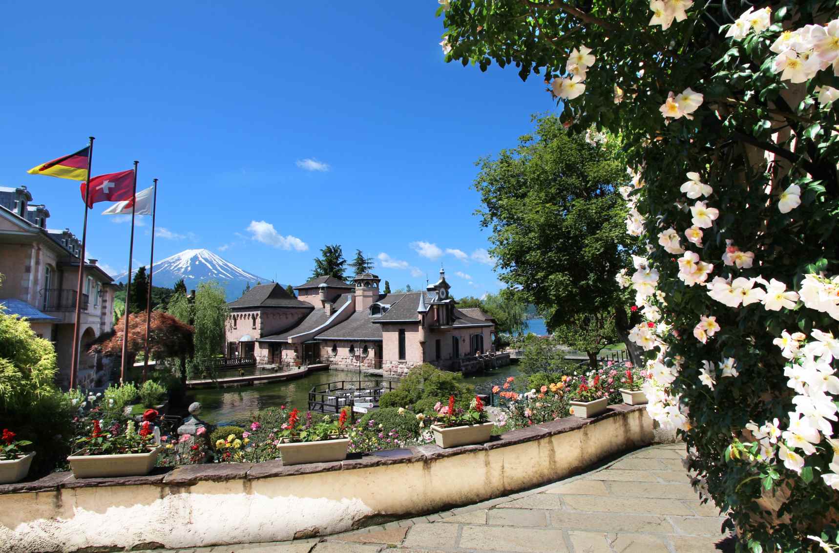 河口湖 | 河口湖音樂之森