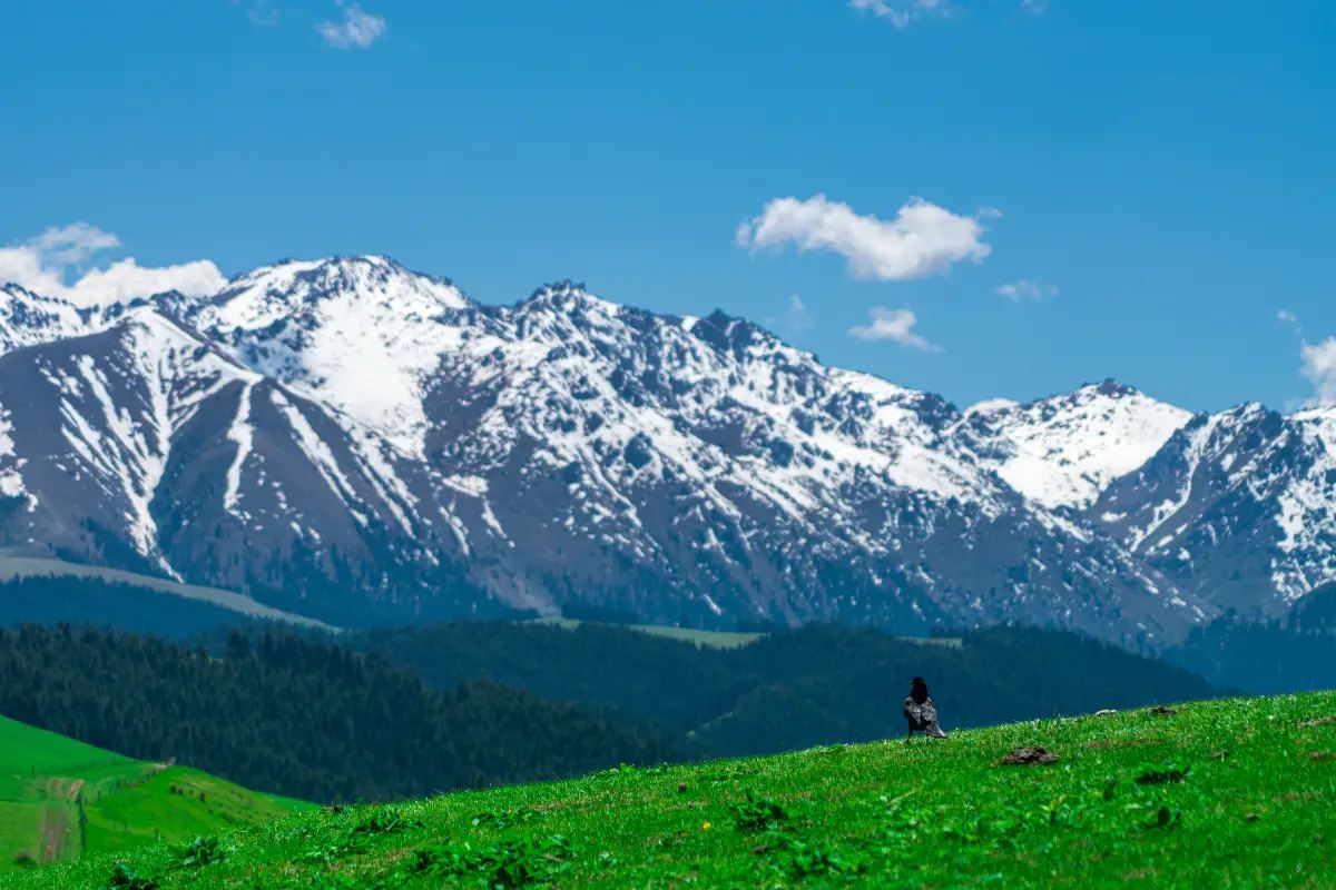 魯木齊南山牧場+西白楊溝+烏拉斯台草原一日遊