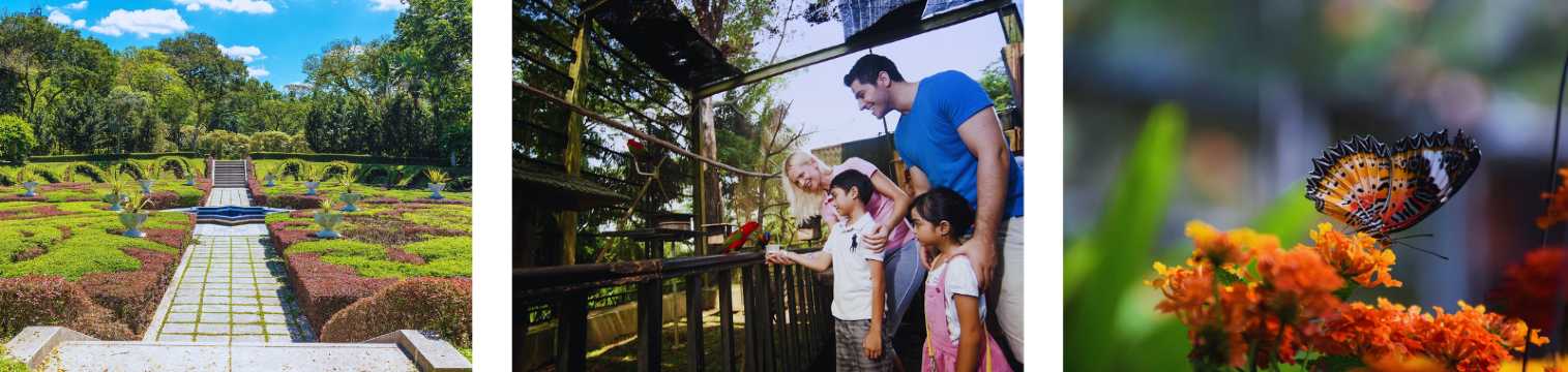 Collage of gardens, family activities and butterflies in a natural setting near Kuala Lumpur