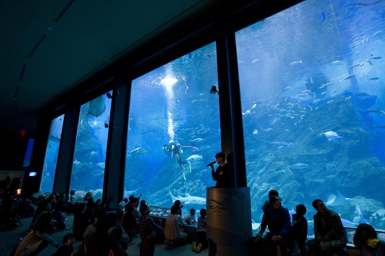 福岡 | 海洋世界海之中道