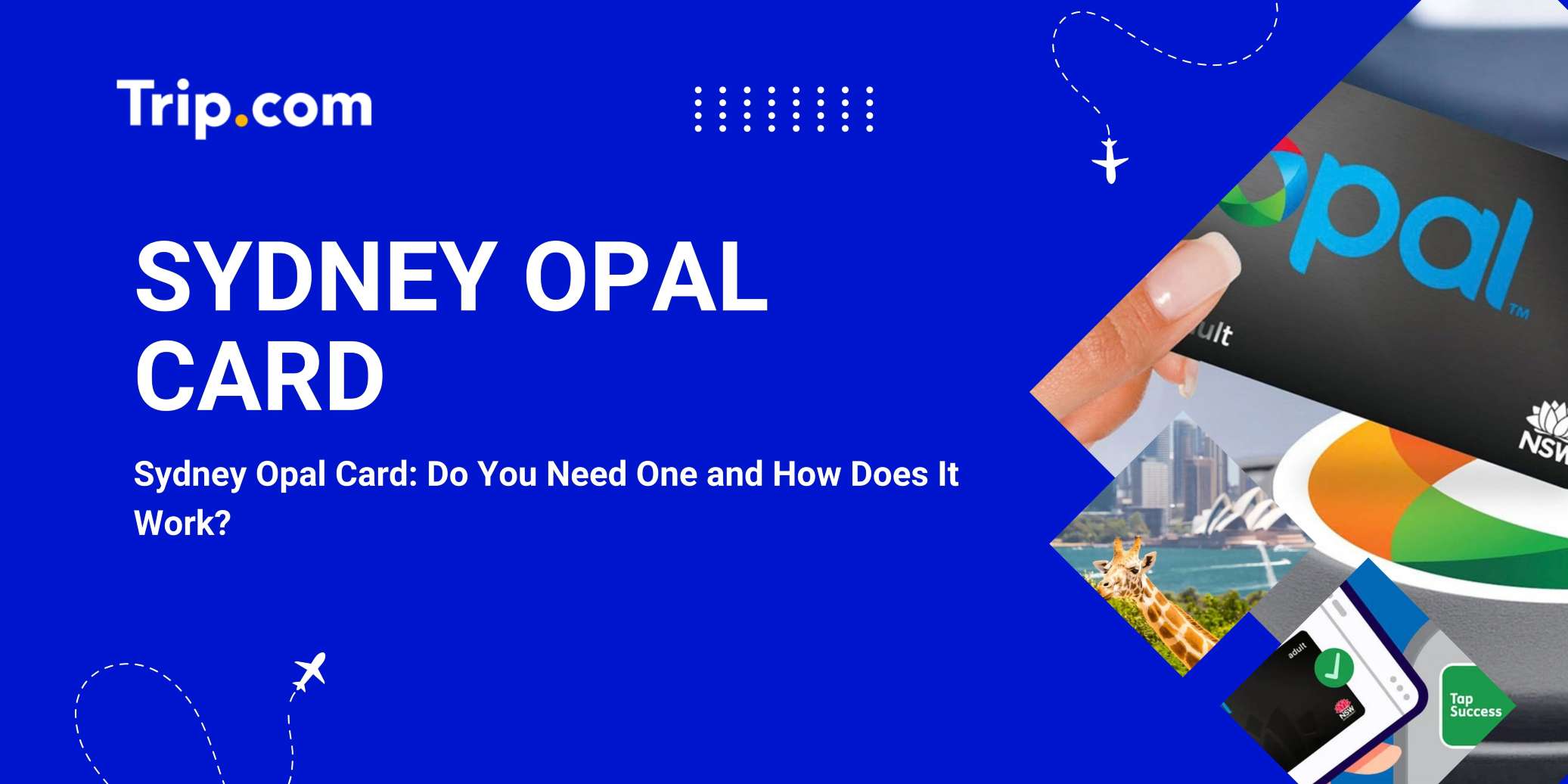 Sydney Opal Card: Do You Need One and How Does It Work | Trip.com