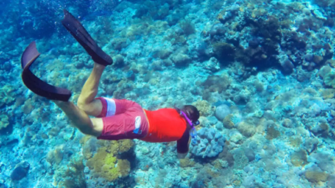 Snorkeling at Amed