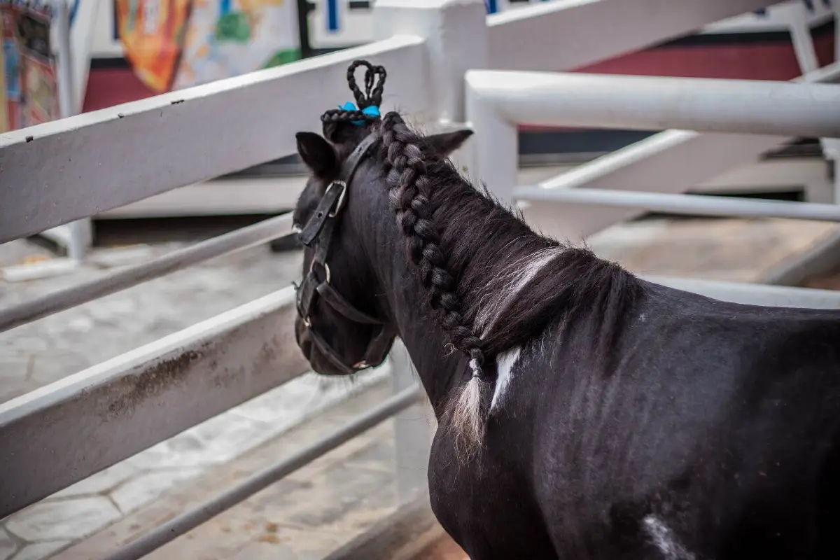 ที่เที่ยวพัทยา