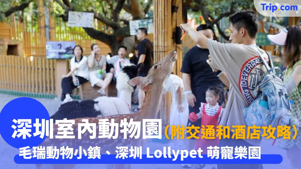 深圳室內動物園 