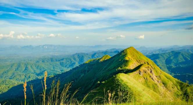 เขาช้างเผือก