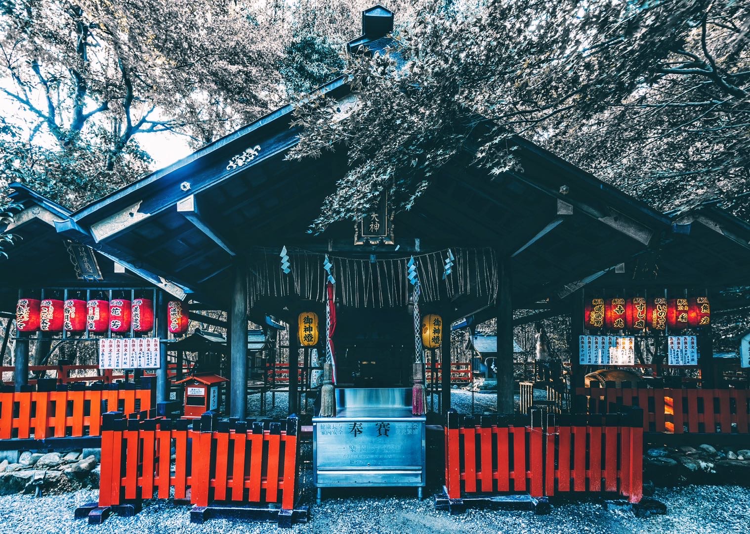 嵐山景點 #6|野宮神社