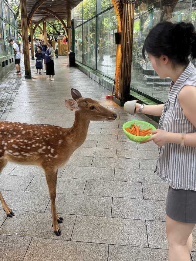深圳 WOWO 窩窩萌寵森友會（世界之窗店）