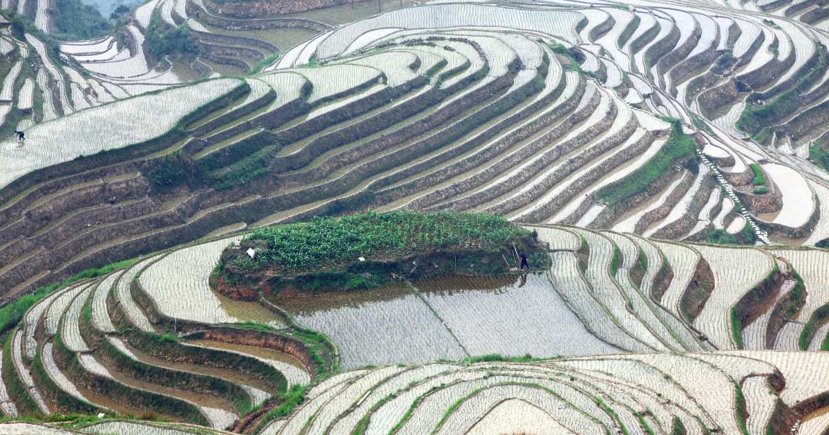 Risaie a terrazze di Longji_Yangshuo