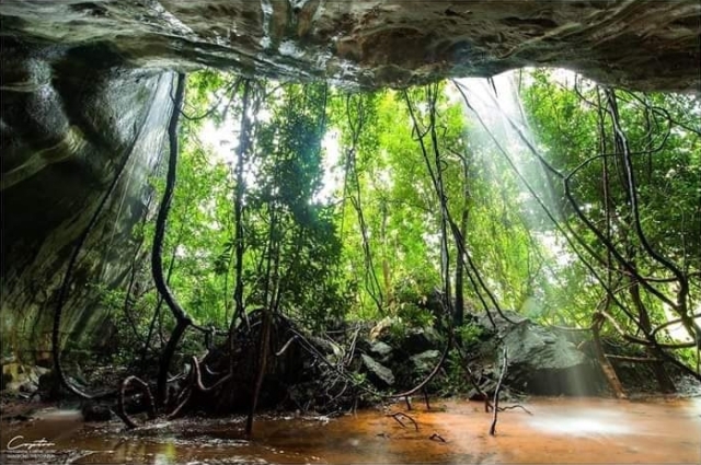 ทิวเขาผาโค้ง