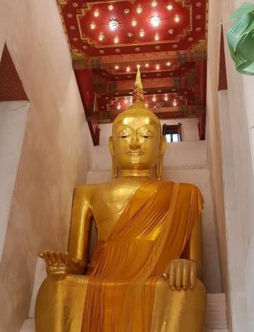 วัดป่าเลไลยก์