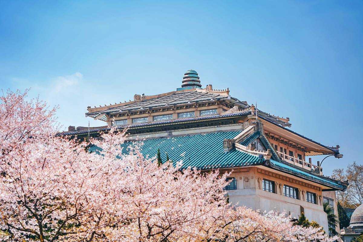 武漢景點 #6 武漢大學|武昌區