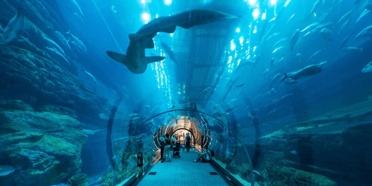 두바이 랜드마크, 로스트 챔버아쿠아리움