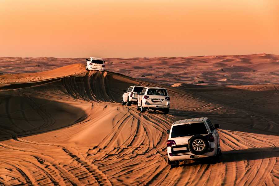 Desert Safari