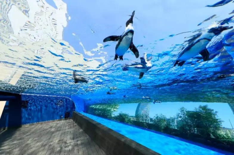 池袋陽光城水族館