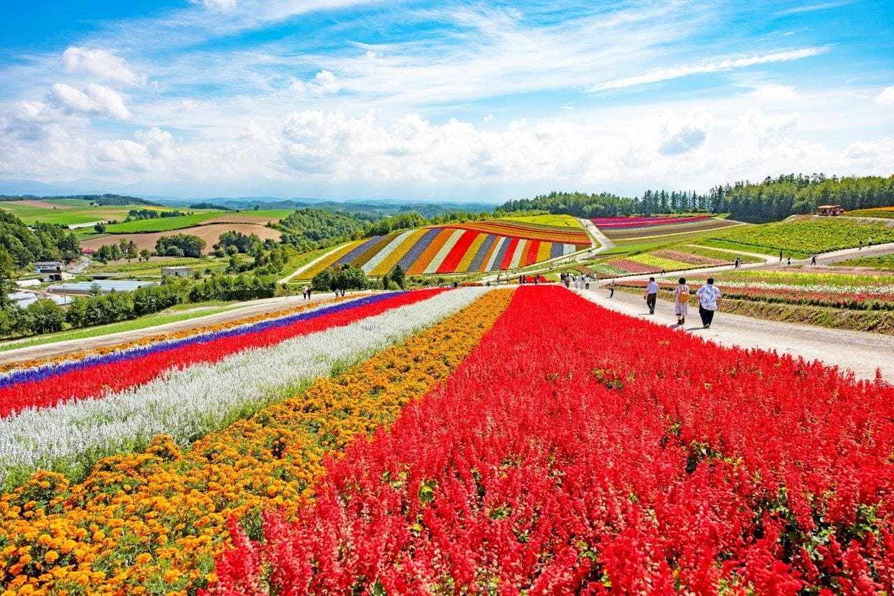 홋카이도 여행 비용 절약