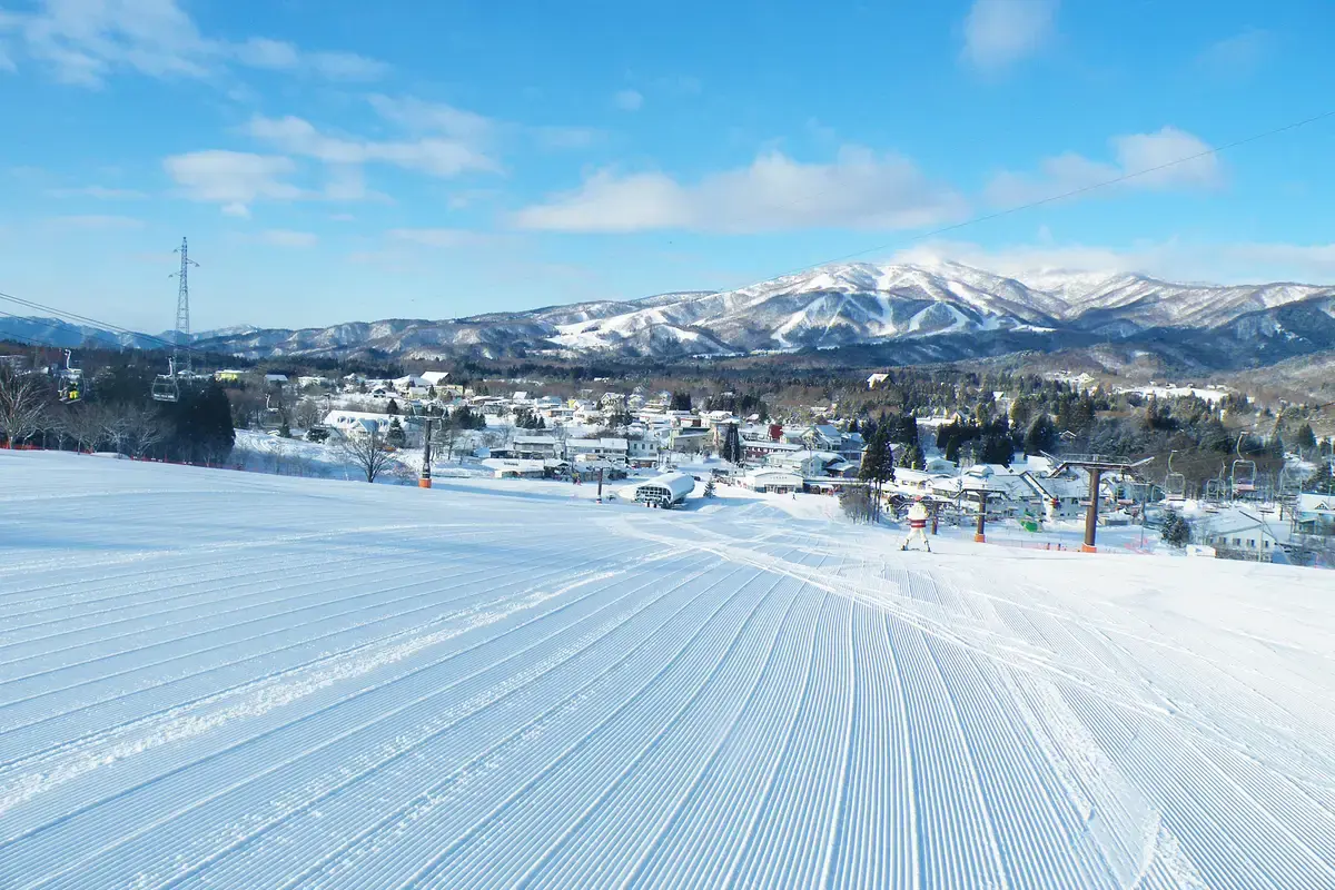 名古屋滑雪, 岐阜蛭野高原滑雪場