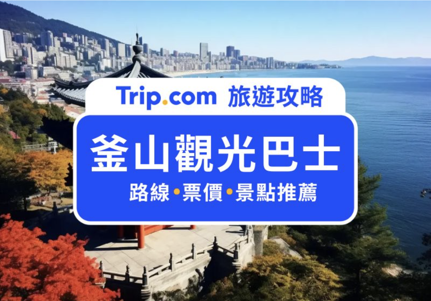 釜山觀光巴士