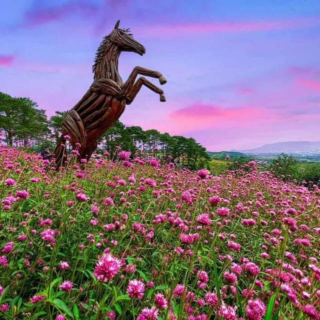 ไร่จีบีทุ่งกังหันลม เขาค้อ