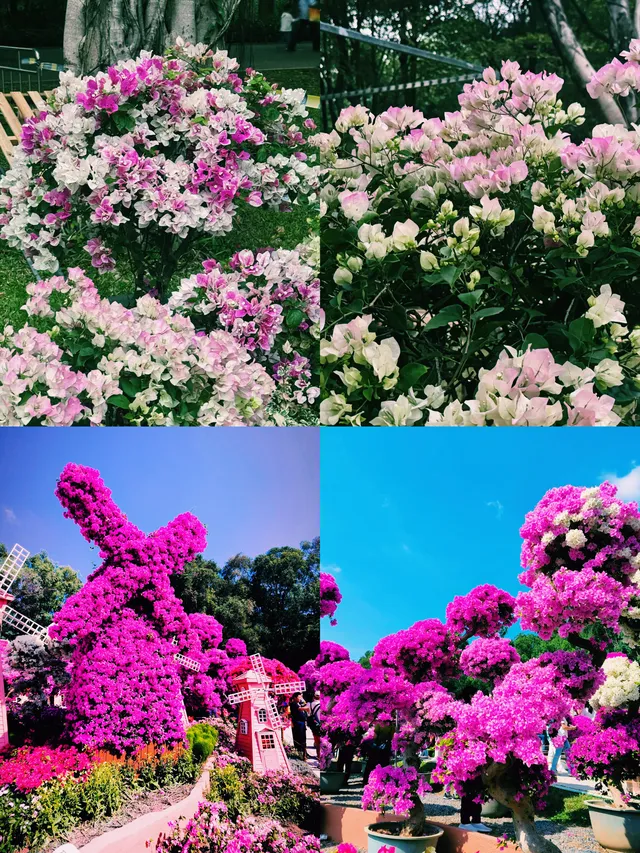 Lianhua Shan