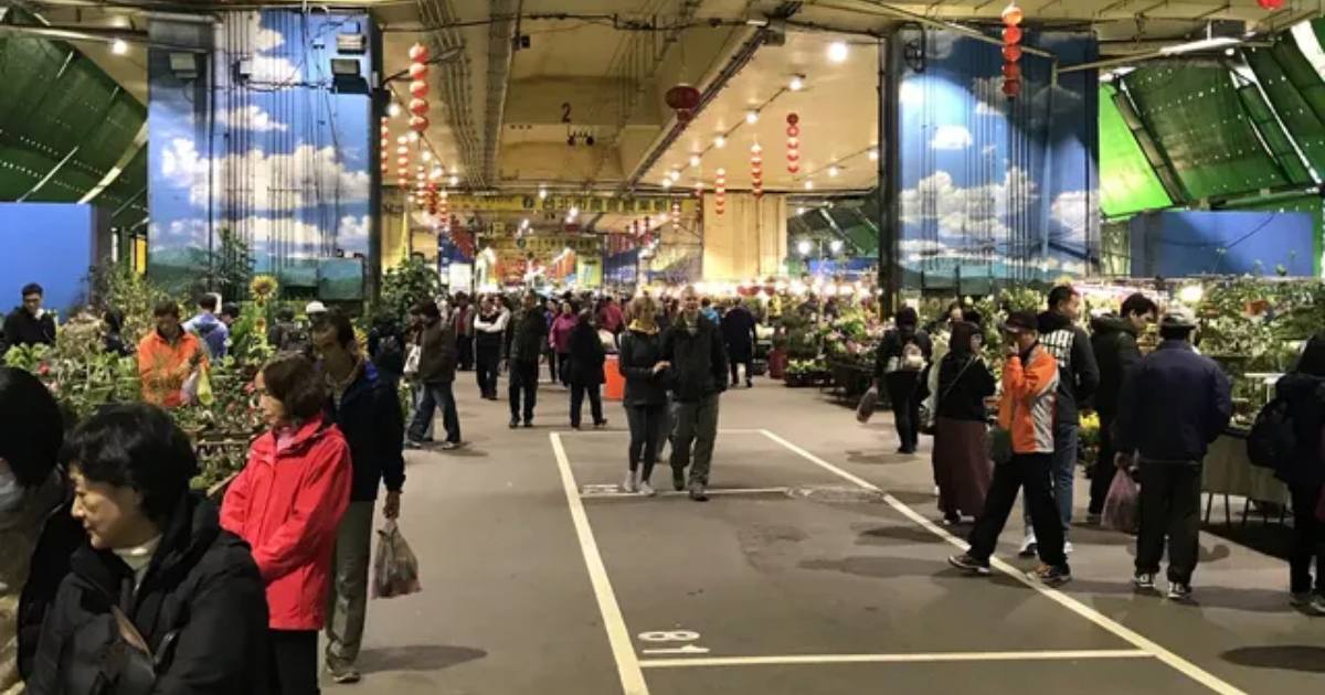 scene inside Jianguo Holiday Flower Market