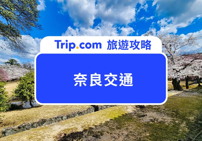 【奈良交通必讀攻略】奈良交通介紹、安排、景點住宿推薦懶人包！ | Trip.com