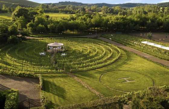 토스카나 와이너리 투어 산지미냐노