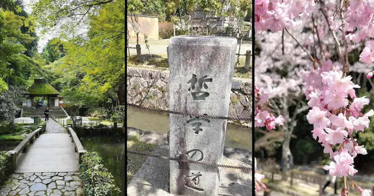 Scenes of Philosopher’s Path in Spring