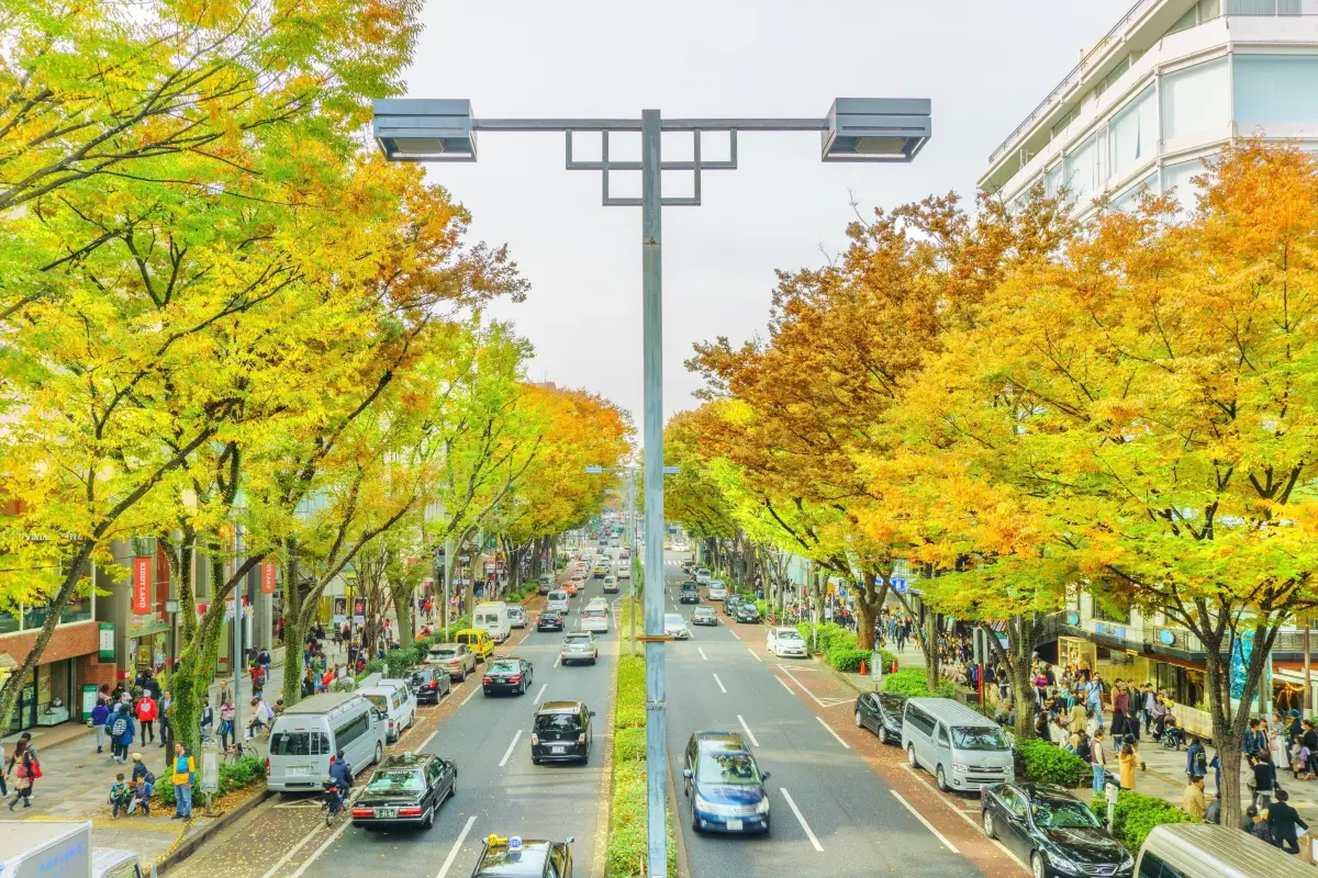 表參道 Hills