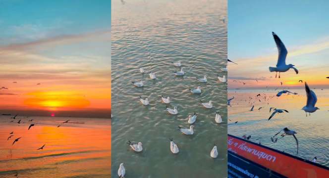 สถานตากอากาศบางปู