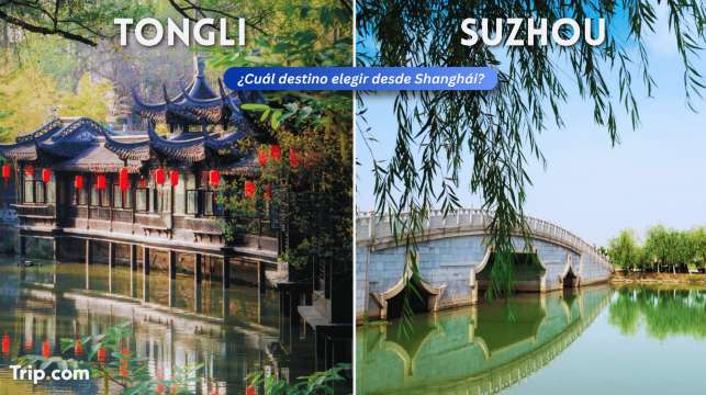 Suzhou o Tongli: Cosa visitare da Shanghai?