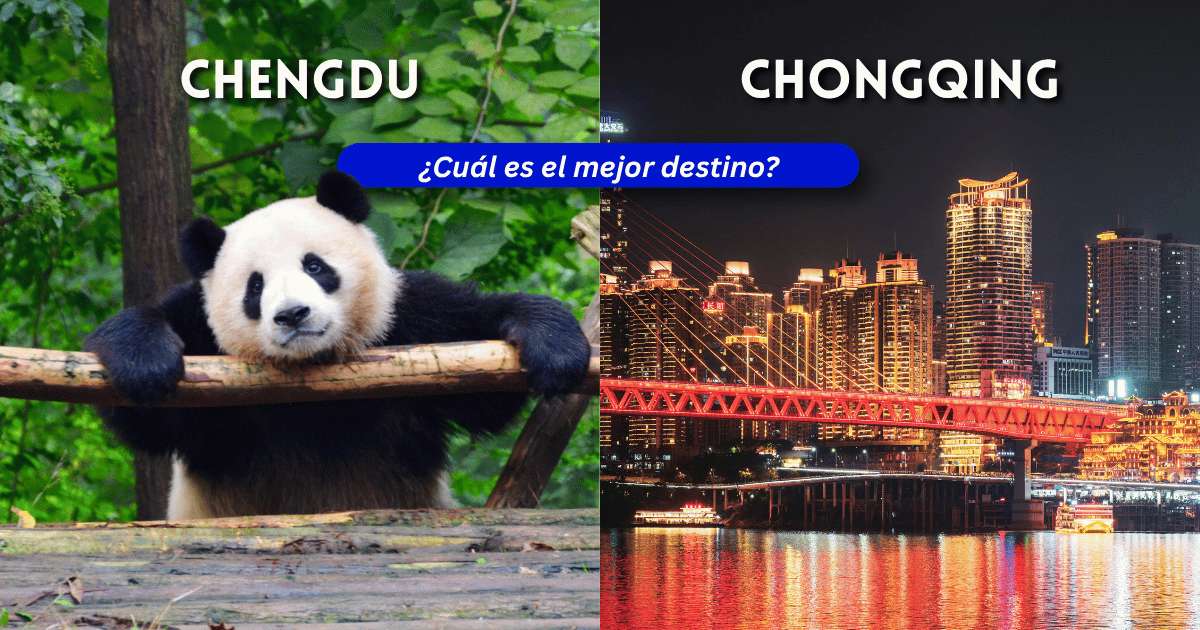 Comparativa Chengdu vs Chongqing: panda gigante y skyline nocturno de Chongqing