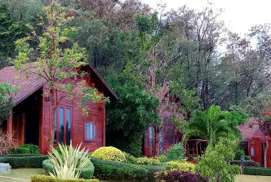 ไม้เงินไม้ทองรีสอร์ท