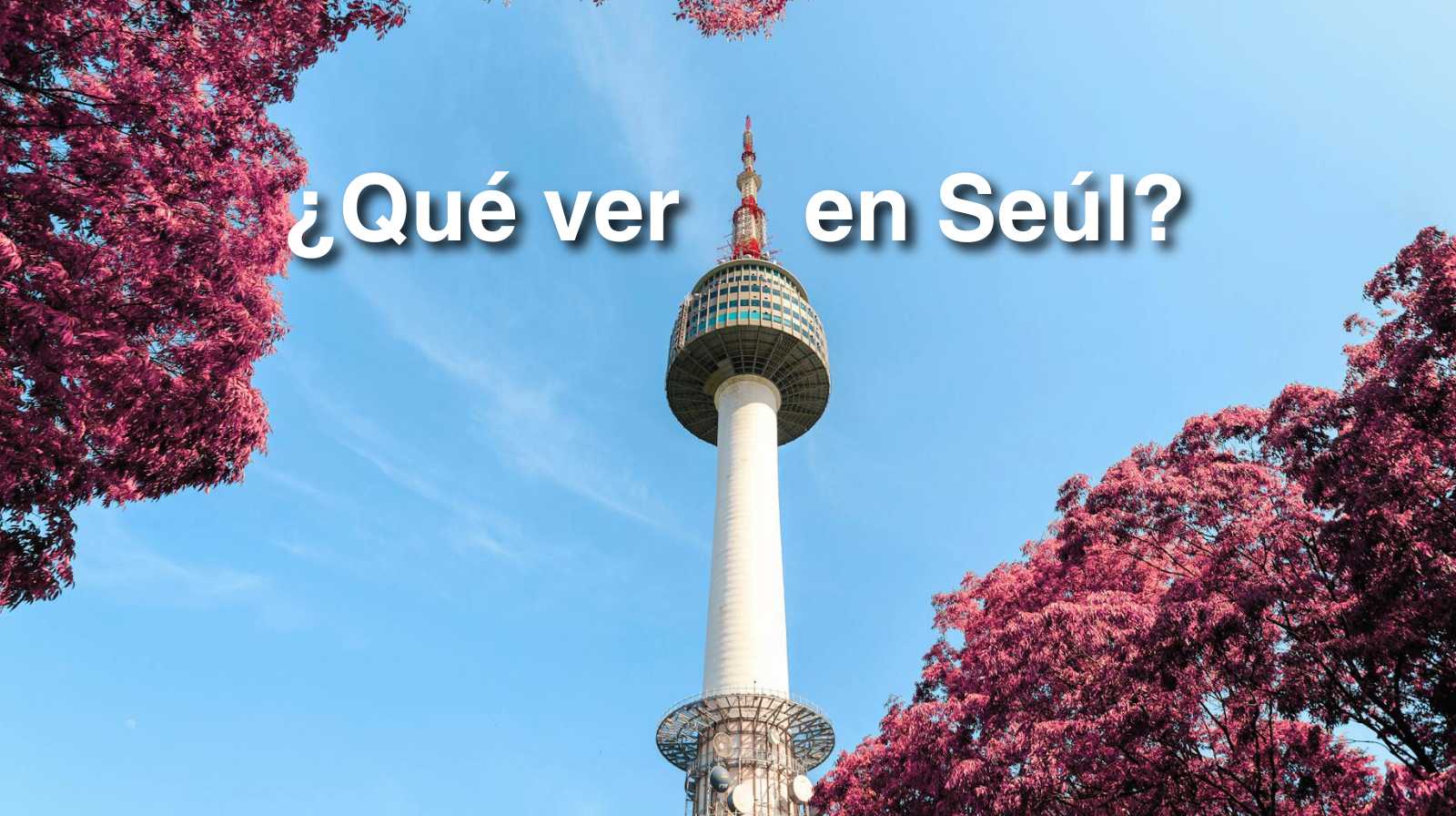N Seoul Tower vista desde abajo rodeada de árboles rosados, con cielo azul despejado