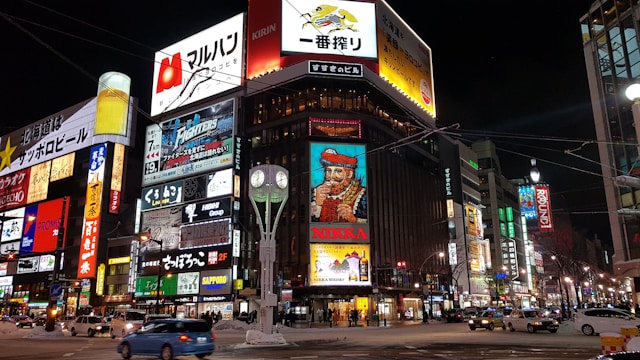 삿포로 유심