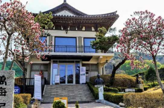 경기도 벚꽃 명소 경기도 광주