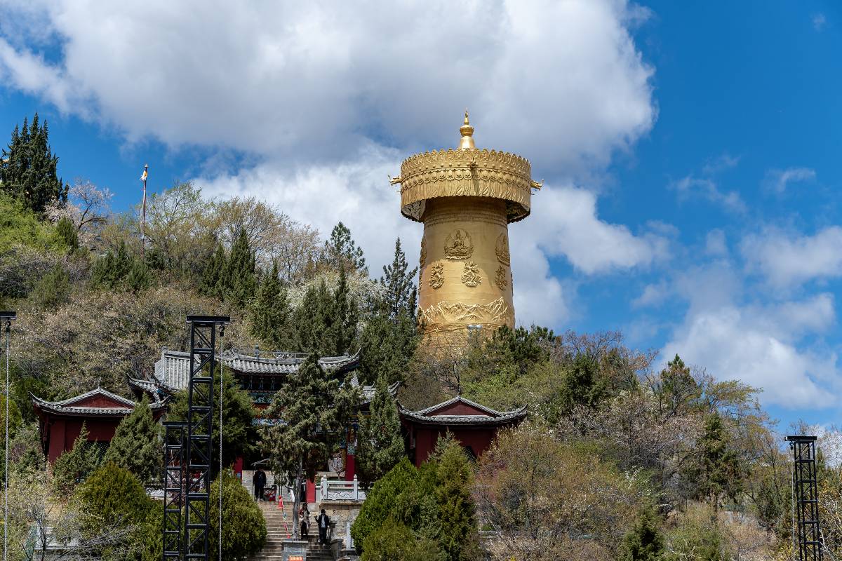 麗江 + 虎跳峽 + 香格里拉一日遊
