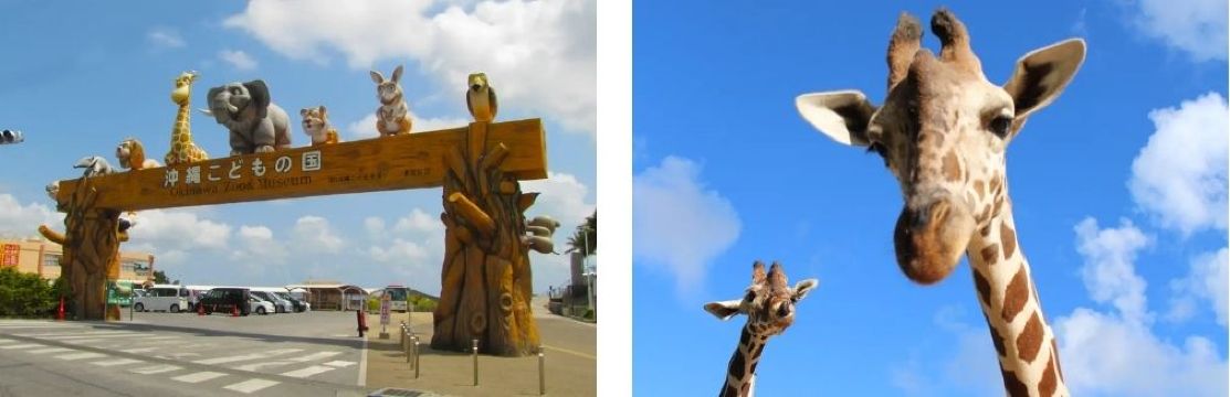 Okinawa Zoo & Museum