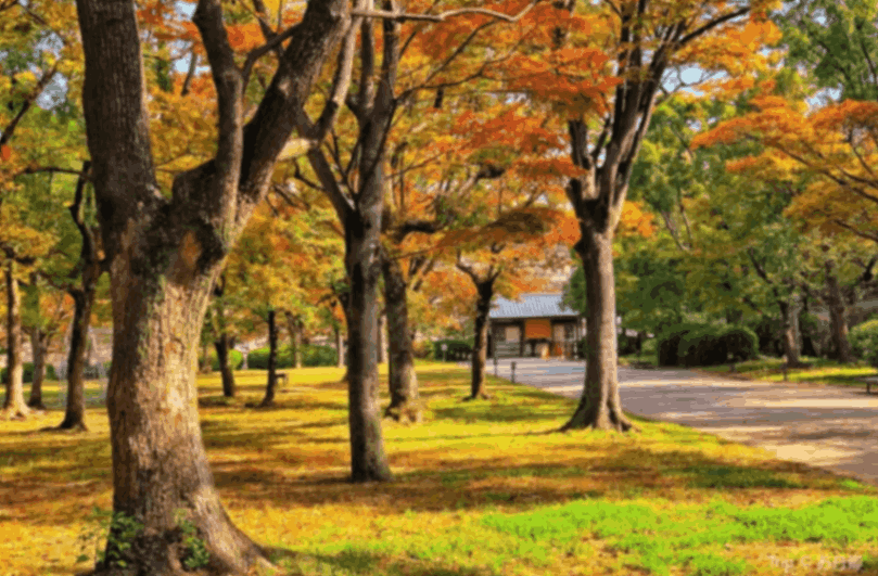 니시노마루 공원