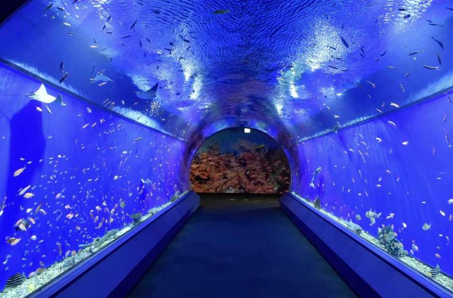 오사카 수족관 예약