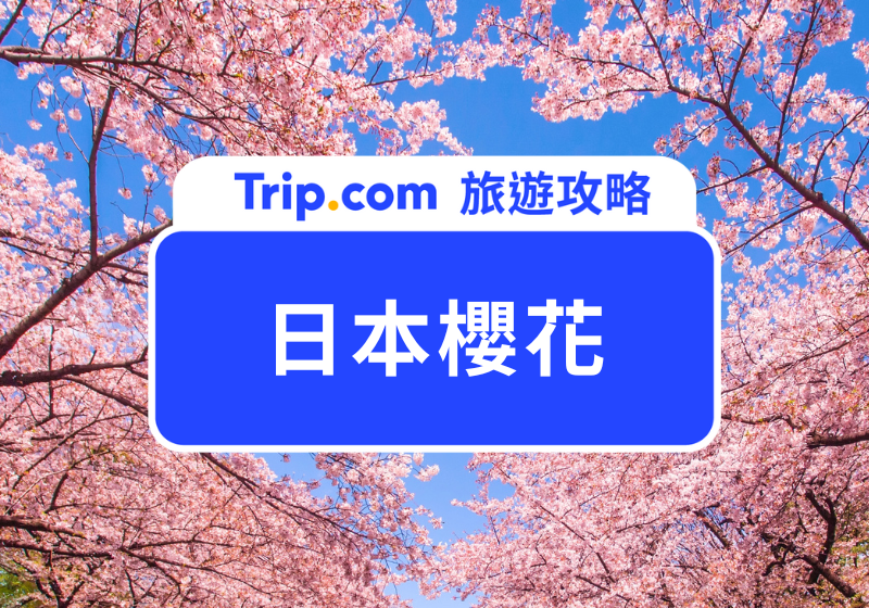 日本櫻花
